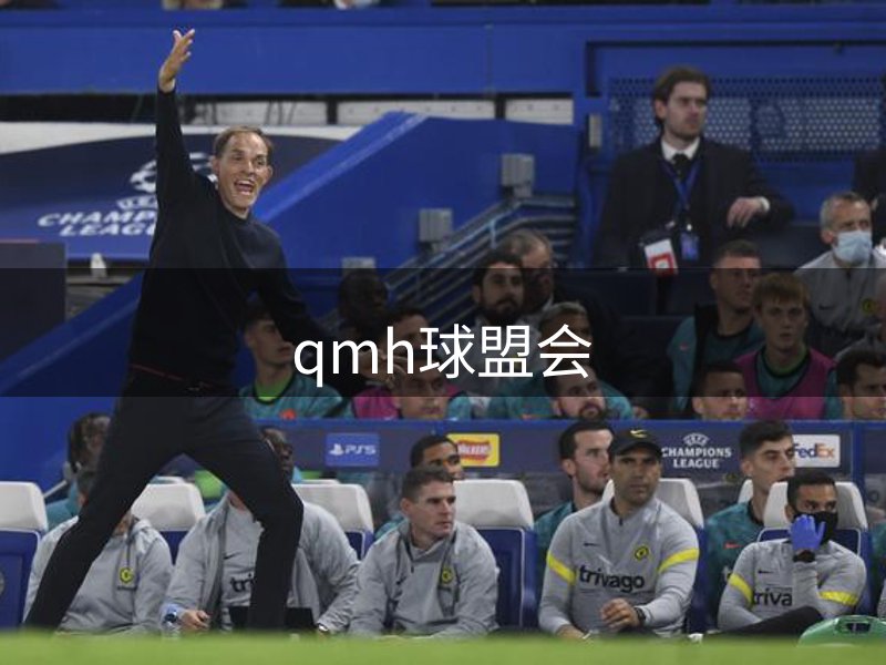 网站体系